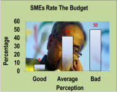 SMEs give the thumbs down to Budget: FISME survey